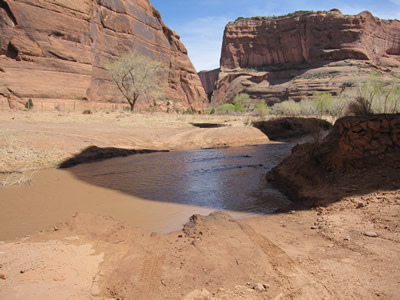 diablocyn